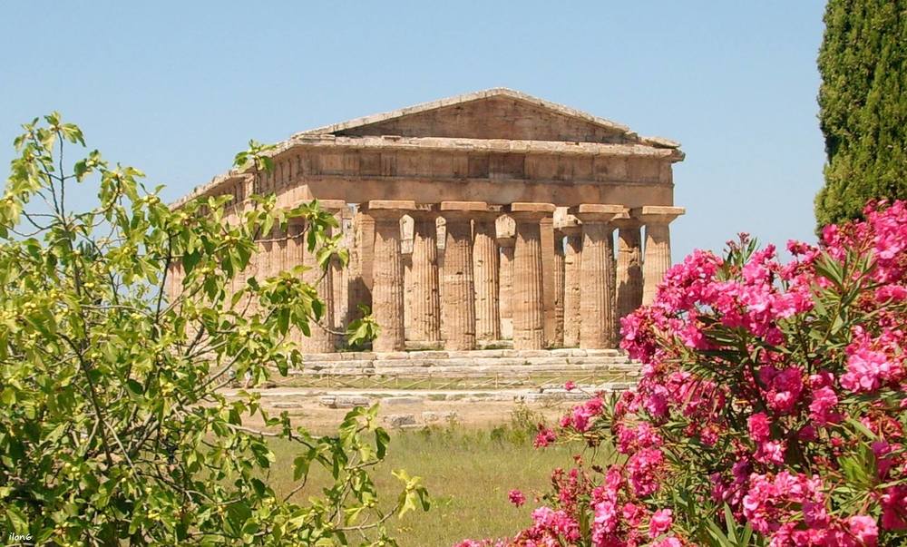 Tempio di Nettuno PAESTUM